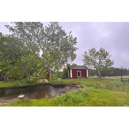 Itaetalo Countryside Bed and Breakfast Kaurissalo